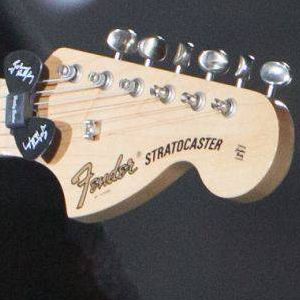 Détails de la guitare Fender Stratocaster serpent