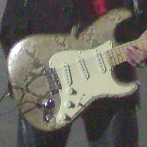 Détails de la guitare Fender Stratocaster serpent