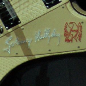 Détails de la guitare Gibson Firebird